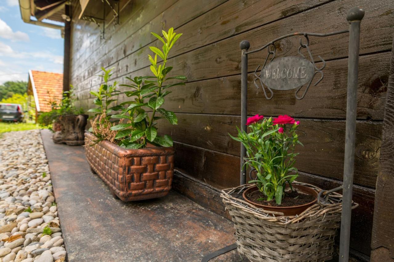 Hygge Hill Villa Krapinske Toplice Exteriör bild