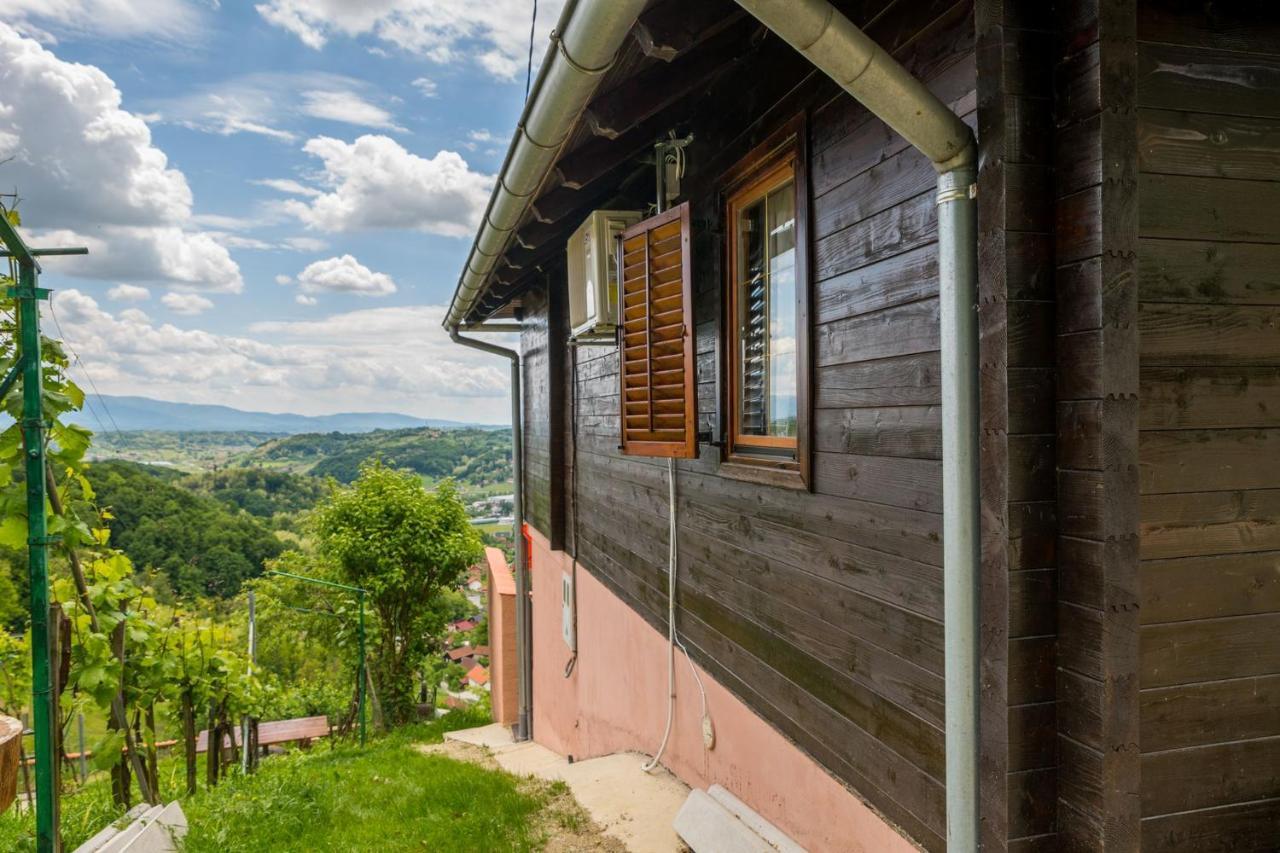 Hygge Hill Villa Krapinske Toplice Exteriör bild